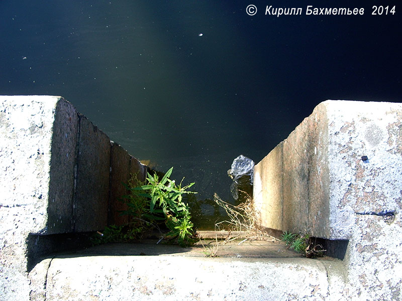 Проём в стенке шлюза на Петровском устье Староладожского канала