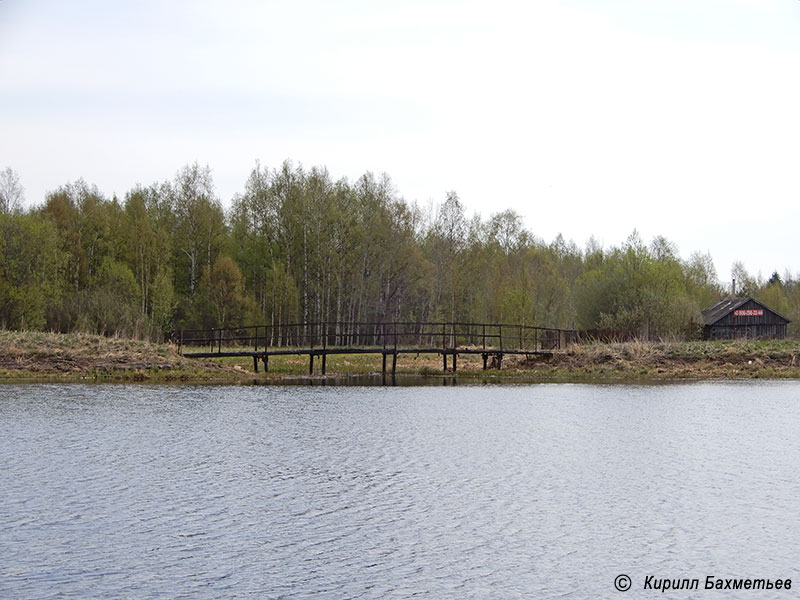 Мост через ручей при его впадении в реку Воронежку